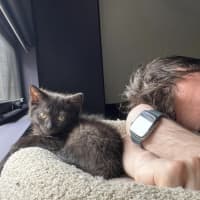 Photo of Guinness Aka Blake 