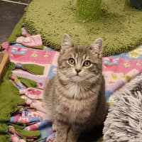Photo of Wilhemenia