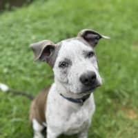 Photo of Addie