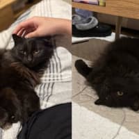 Photo of Bella