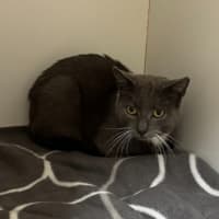 Photo of Bucky