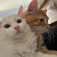 Photo of Rudolf Xenos