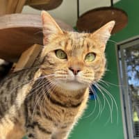 Photo of Widget
