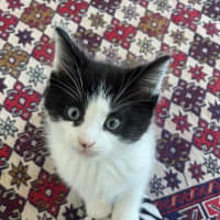 Photo of Mickey And Minnie