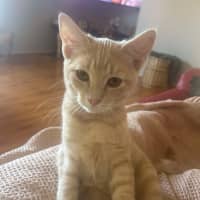 Photo of Jack & Jill 