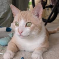 Photo of Mr Bubbles