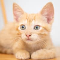 Photo of Wednesday