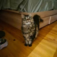 Photo of Tara