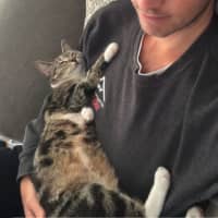 Photo of Kitty