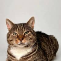 Photo of Tom
