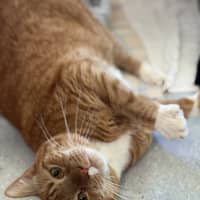 Photo of Charlie