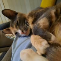Photo of Wobbles 