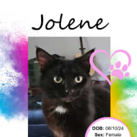 Photo of Jolene