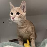 Photo of Veuve