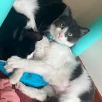 Photo of Rosie Dancer