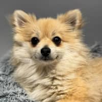 Photo of Betty