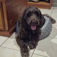Photo of Missie