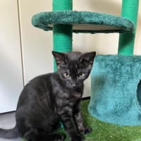 Photo of Monte ❤️