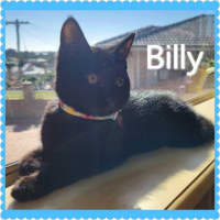 Photo of Billy