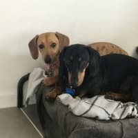 Photo of Benji And Saide