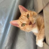 Photo of Mishka