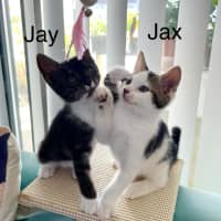 Photo of Jay