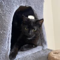 Photo of Juni