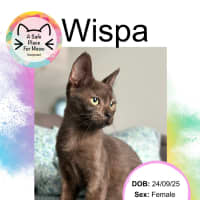 Photo of Wispa