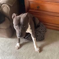 Photo of Estée Lauder