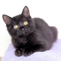 Photo of Jasper