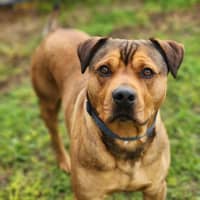 Photo of 👑 King 6259 👑