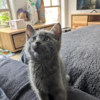 Photo of Odin