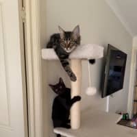 Photo of Eve & Coalette