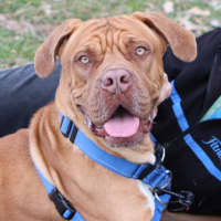 Photo of Zeke