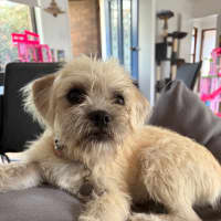 Photo of Emmy