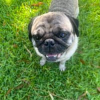 Photo of Walter