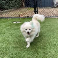 Photo of Snowy