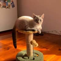 Photo of Lilly
