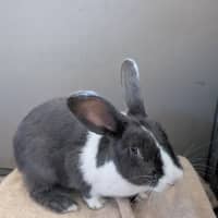 Photo of Mildred