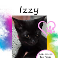 Photo of Izzy