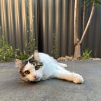 Photo of Nori & Nina