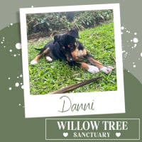 Photo of Danni