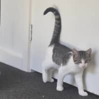 Photo of River Meet Me@Petstock Carrum Downs 