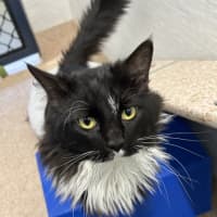 Photo of Bob