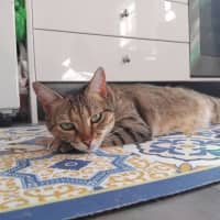 Photo of Lucy