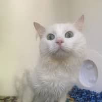 Photo of Elliot