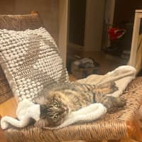 Photo of Rhea