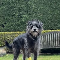 Photo of Jack (Aka Jack Sparrow)