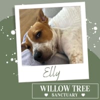 Photo of Elly