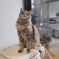 Photo of Lexi